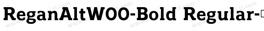 ReganAltW00-Bold Regular字体转换